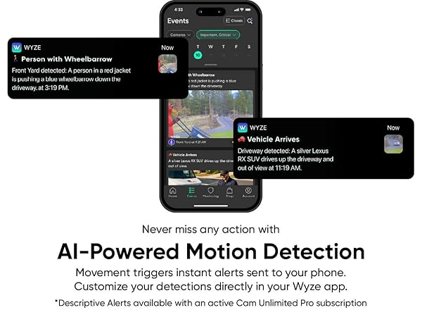 Wyze Window Cam Detections