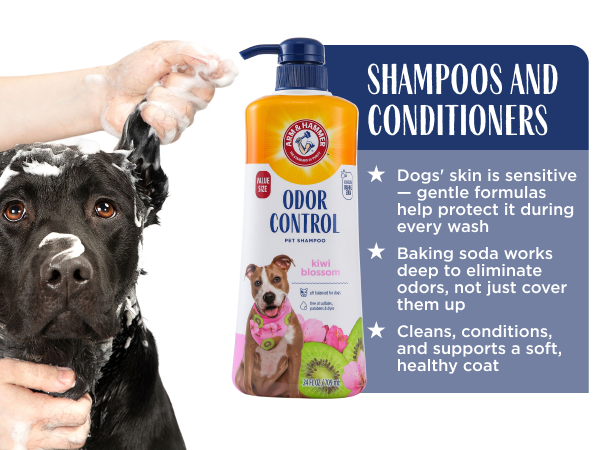 Shampoo and conditioners