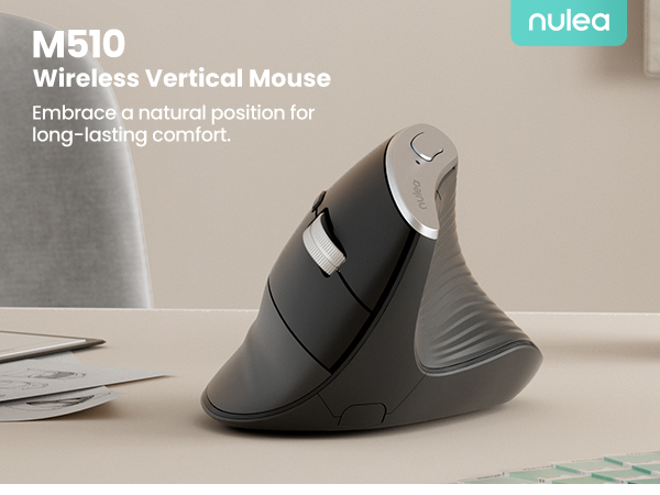 mouse