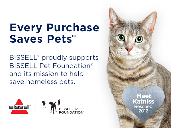 spot and stain formula, carpet shampoo, carpet cleaner, carpet cleaner formula, stain remover