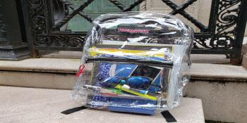 clear back packs bags see through backpacks for women work kids men travel elementary jr high