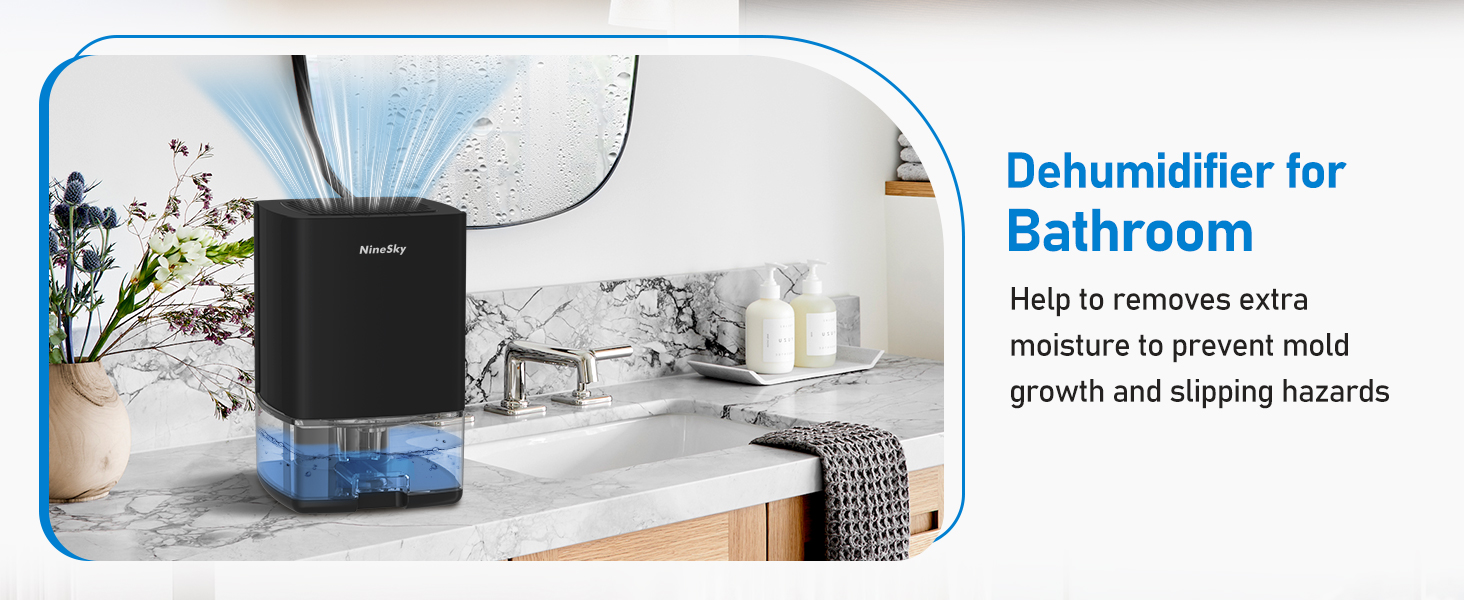 Dehumidifier