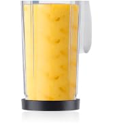 Portable Blender