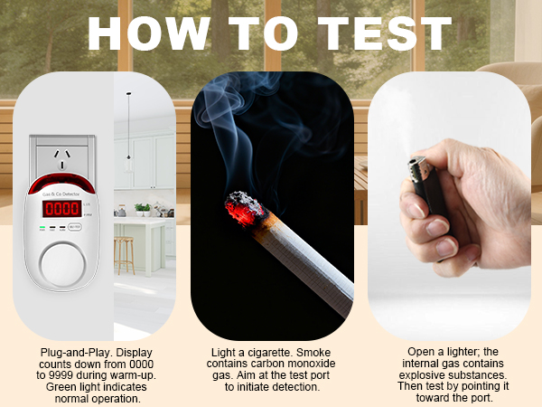 natural gas and carbon monoxide detector