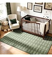 BGASZ Washable Area Rugs 5'x7', Ultra Soft Carpet for Kids Room,Non-Slip/Low Pile,Stain Resistant...