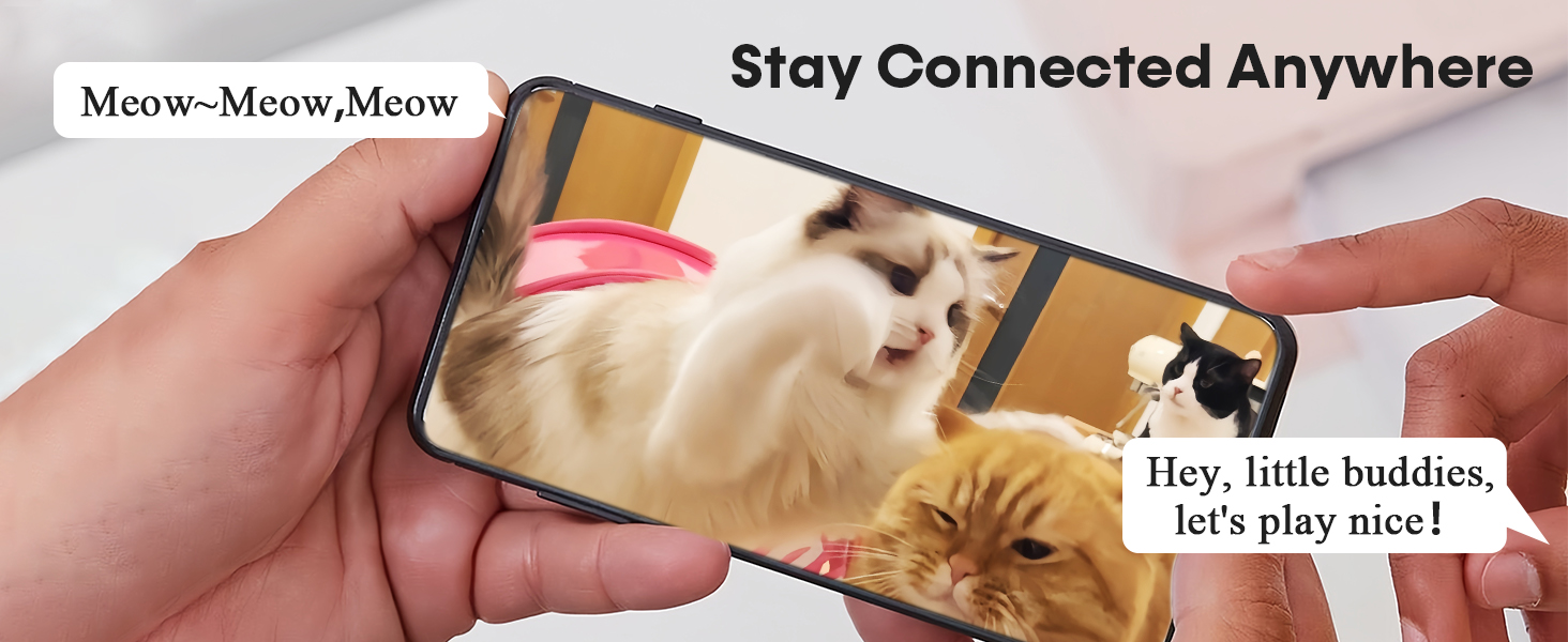 automatic dog feeder large breed