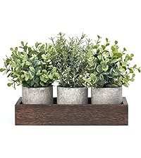 https://m.media-amazon.com/images/S/aplus-media-library-service-media/39790be2-18eb-4b99-ab4b-fecfaaef944f.__AC_SR200,225___.jpg