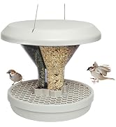 SWISSINNO Bird Feeder Davos Smart Birds. Feed Birds, not Mice &amp; Rodents! Robust &amp; Reliable for Ha...