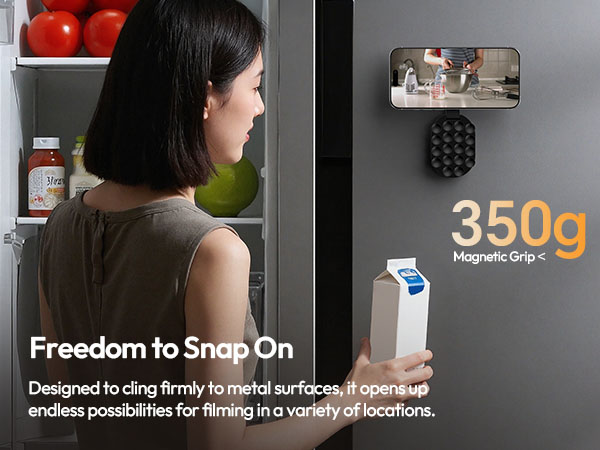 magnetic phone mount