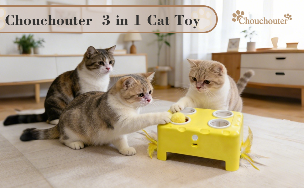 Cheese Box Interactive Cat Toy