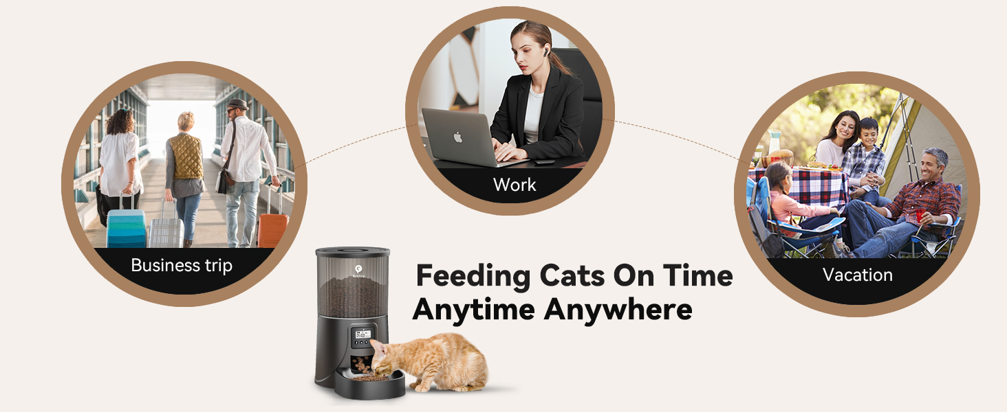 cat automatic feeder
