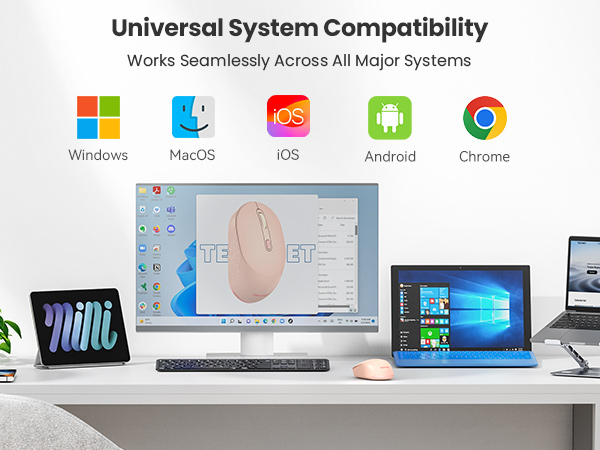 Text reads 'Universal System Compatibility'. Desktop setup showing icons for Windows, Android, Apple, and other operating systems with laptop and monitor display.