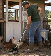 chicken coop scooper