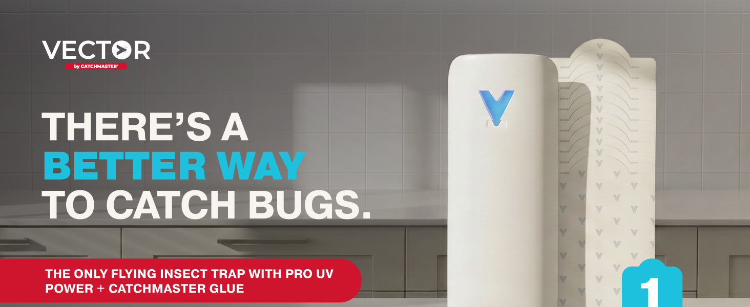 Vector plug-in insect trap beside glue boards, with text promising a better way to catch bugs today.