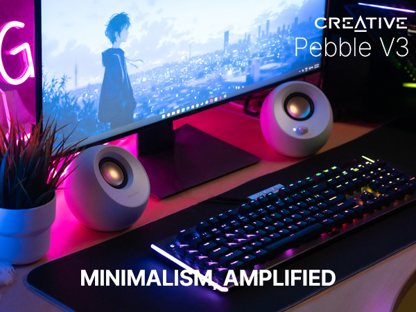 Pebble V3