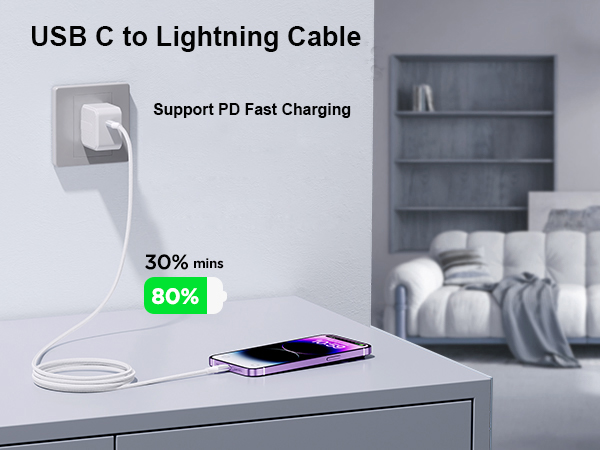 USB C to Lightning Cable