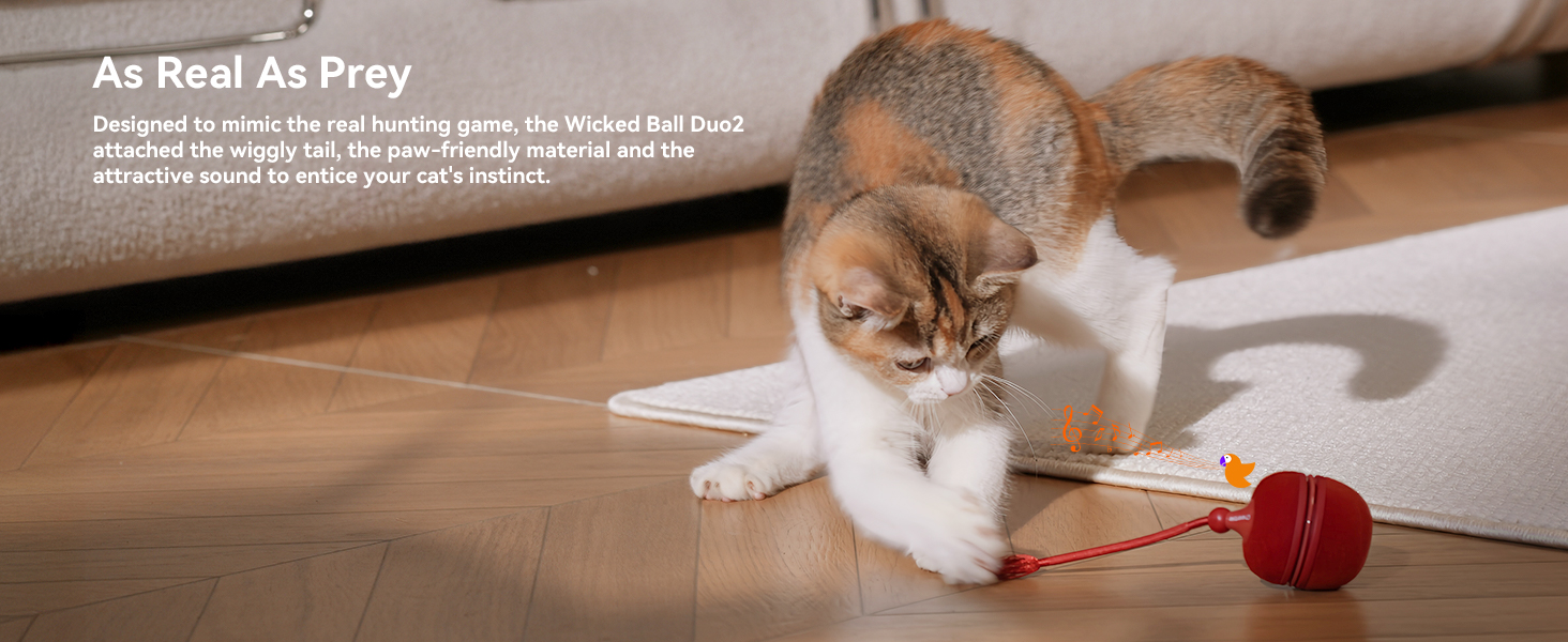 kitten toys for indoor kittens