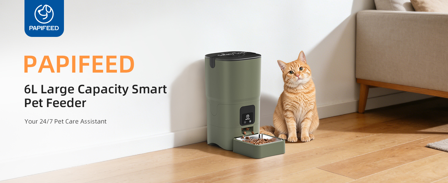 Automatic Cat Feeder