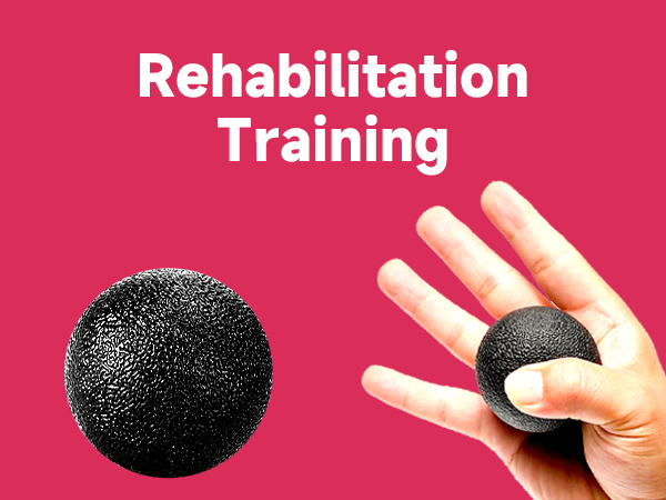 FitBeast Hand Grip Strengthener Workout Kit