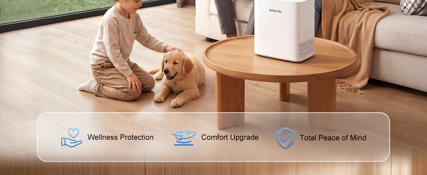 3 in 1 Air Cleaners for Home