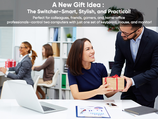 kvm switch 2 monitors 2 computers