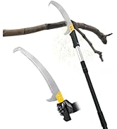 BlumeTrec Pole Saws for Tree Trimming