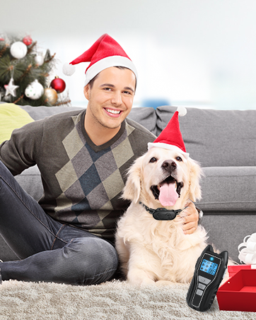 dog training collar with remote