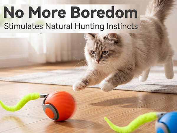 cat toy speedy tail 2.0