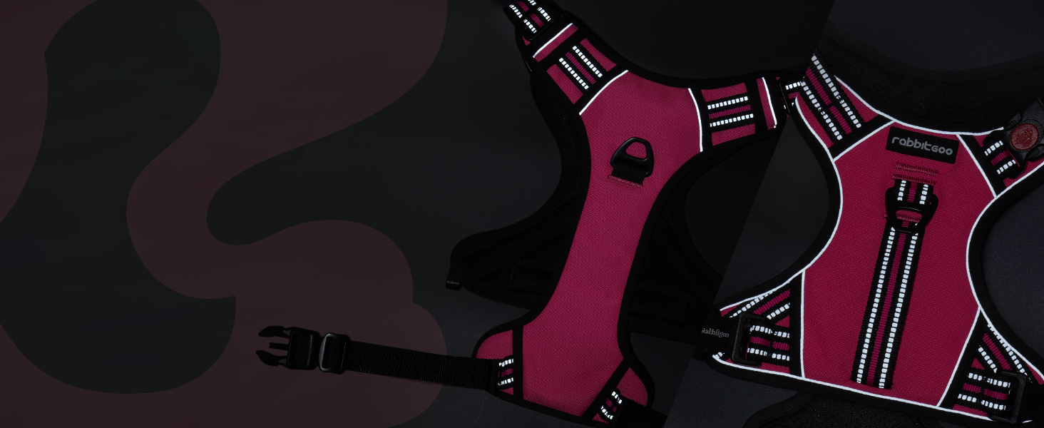 dog harness