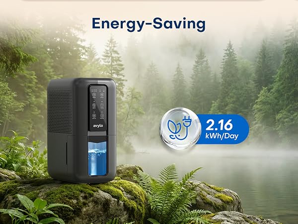 Dehumidifier