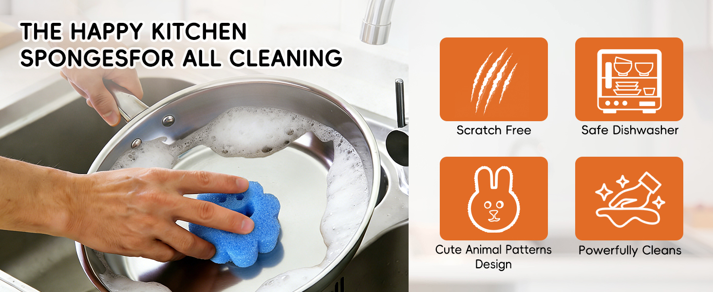 Scrub Sponge