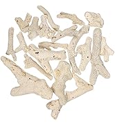 iplusmile Pond Filter Media Gravel Aquarium Coral Bone Sand- Aquarium Biological Filter House Sto...