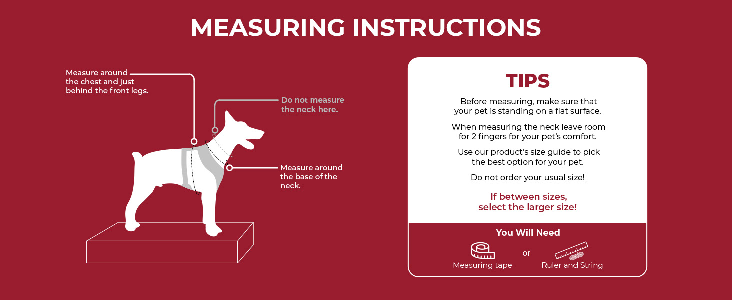 measurements for harness