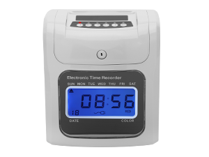 Dual Battery Backup System