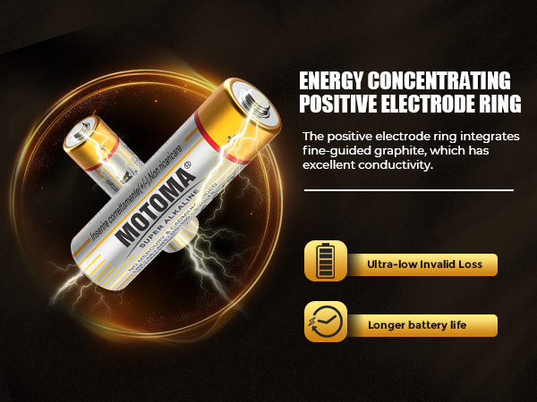alkaline aa batteries