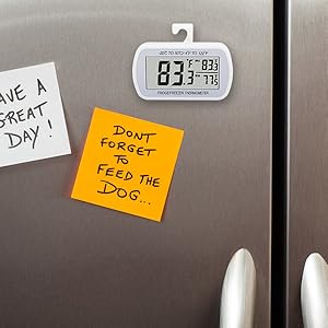 Room Thermometer with Magnetic Back