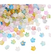 Craftdady 920Pcs Transparent Crown Beads Frosted Acrylic Spacers for DIY | Mini Princess Style Cr...