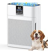 Air Purifiers for Home Large Room up to 2180 Sq Ft, DBFIT HEPA Air Purifier with Washable Nylon P...