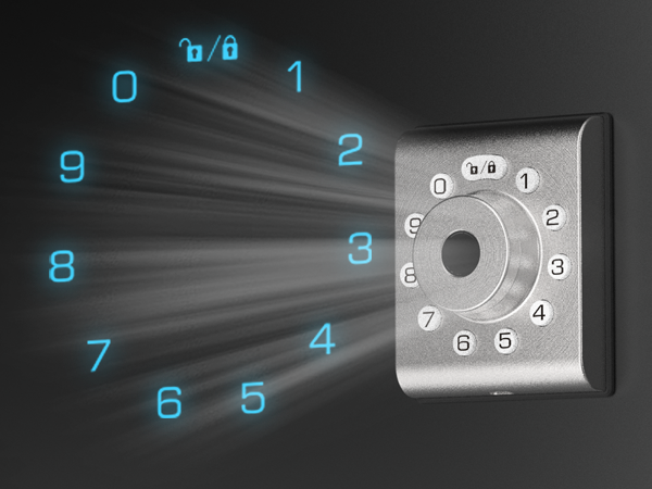 smart door lock