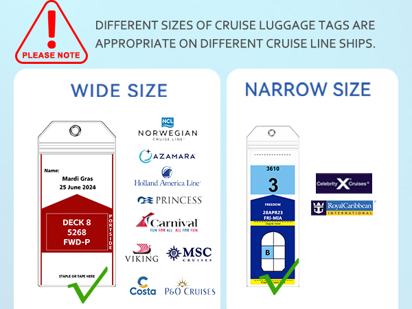 Cruise Essentials 2026