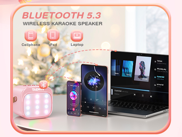 Mini Karaoke Machine for Kids