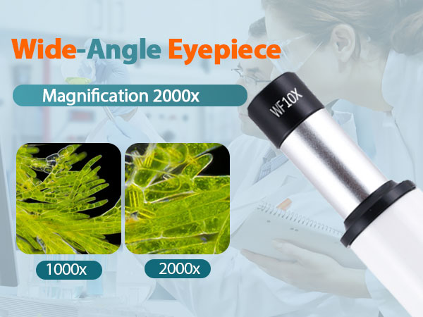 Microscope