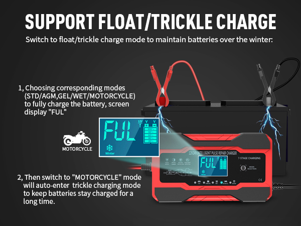 Battery Desulfator with Temperature Compensation