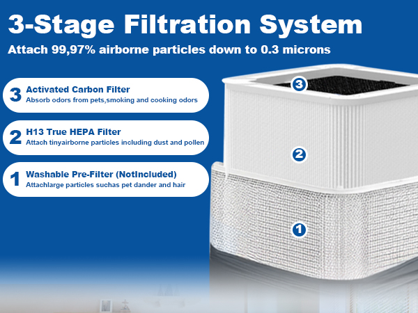 BLUEAIR Blue Pure 211+