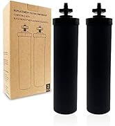 2-Pack Replacement BB9-2 Black Purification Elements, Activated Carbon Water Filters Compatible w...