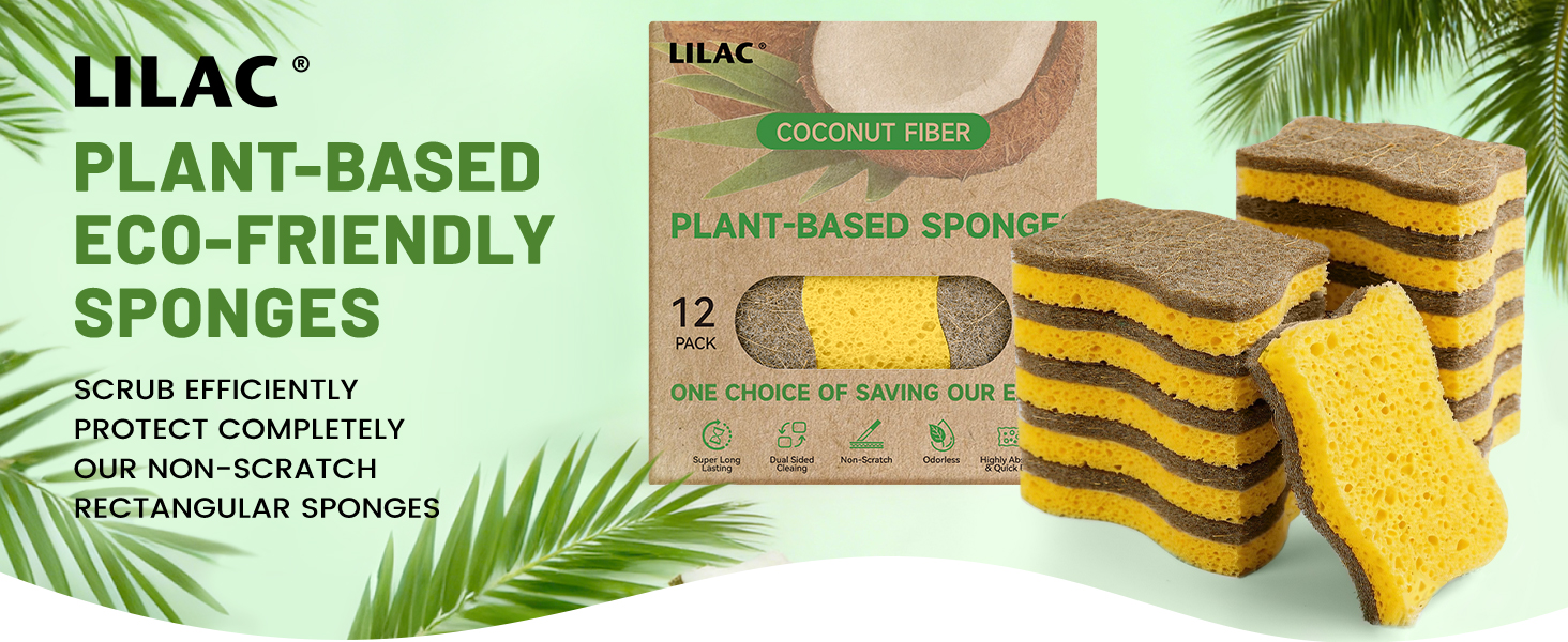 kitchen sponges