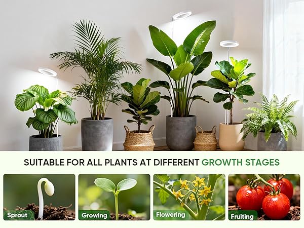  Grow Light for Indoor Plants,