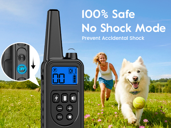 dog training collar with remote