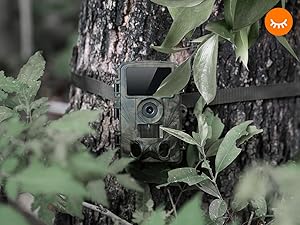 Hunting Cameras
