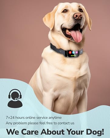 canivix shock collar for dogs